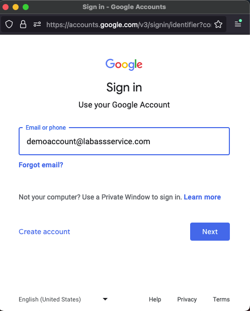 LabasService Google Auth Setup Email