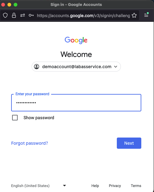 LabasService Google Auth Setup Password
